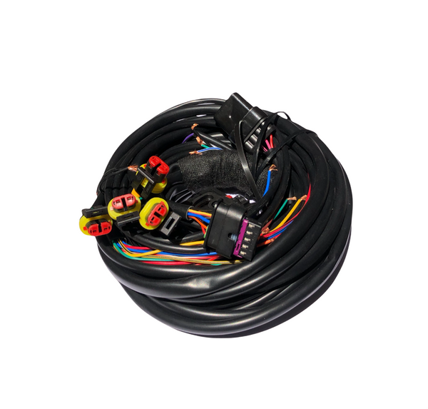 Cableado Arnes Mp48 48 Pines Gas Lp Y Natural 5ta Generacion